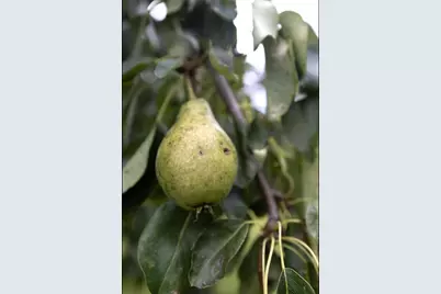 30751 Wallmark Lake Drive, Chisago City, MN 55013 - Photo 43