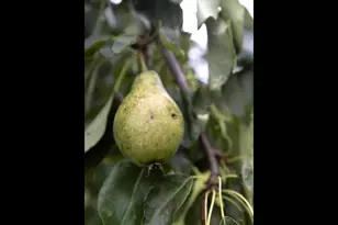 30751 Wallmark Lake Dr, Chisago City, MN 55013 - Photo 43