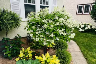 3014 Hayes St NE, Minneapolis, MN 55418 - Photo 31