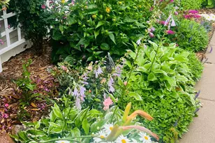 3014 Hayes St NE, Minneapolis, MN 55418 - Photo 35