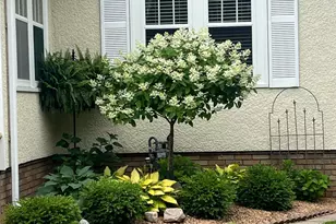 3014 Hayes St NE, Minneapolis, MN 55418 - Photo 33