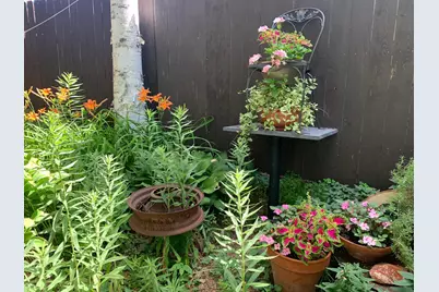 254 Western Avenue S, Saint Paul, MN 55102 - Photo 21