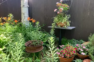 254 Western Ave S, Saint Paul, MN 55102 - Photo 21