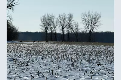 Tbd 190th Avenue N, Ulen, MN 56585 - Photo 19