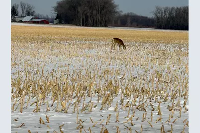 Tbd 190th Avenue N, Ulen, MN 56585 - Photo 29