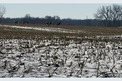 Tbd 190th Avenue N, Ulen, MN 56585 - Photo 17
