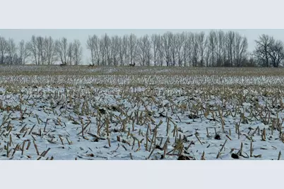 Tbd 190th Avenue N, Ulen, MN 56585 - Photo 25