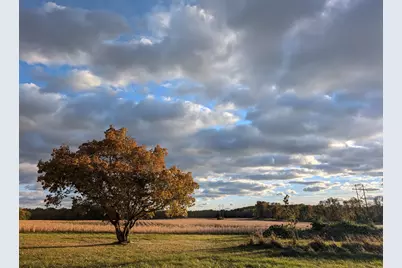 4113 County Road 33 SE, Buffalo, MN 55313 - Photo 99