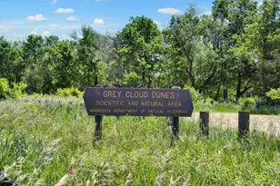 10591 Mississippi Dunes Trail S, Cottage Grove, MN 55016 - Photo 17