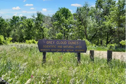 10591 Mississippi  Dunes Trail S, Cottage Grove, MN 55016 - Photo 19