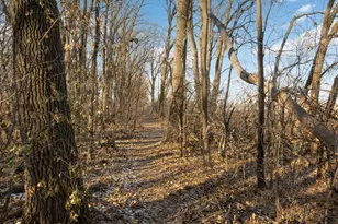 4901 Hawthorne Ct, Edina, MN 55436 - Photo 65