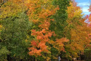 39949 Sunset Shrs Rd SE, Erskine, MN 56535 - Photo 49