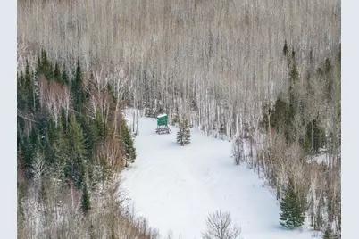 46509 County Road 172, Deer River, MN 56636 - Photo 3