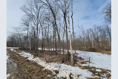 Xxxx Black Bear Drive SW, Motley, MN 56466 - Photo 3