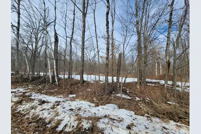 Xxxx Black Bear Drive SW, Motley, MN 56466 - Photo 15