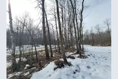 Xxxx Black Bear Drive SW, Motley, MN 56466 - Photo 5