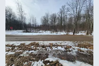 Xxxx Black Bear Drive SW, Motley, MN 56466 - Photo 11