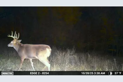 9350 75th Street NW, Byron, MN 55920 - Photo 45