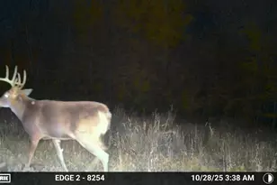 9350 75th St NW, Byron, MN 55920 - Photo 45