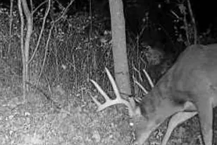 9350 75th St NW, Byron, MN 55920 - Photo 47