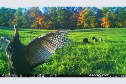 3721 County Line Road, Sturgeon Lake, MN 55783 - Photo 49