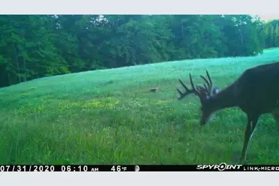 3721 County Line Road, Sturgeon Lake, MN 55783 - Photo 45