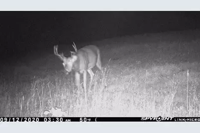 3721 County Line Road, Sturgeon Lake, MN 55783 - Photo 47