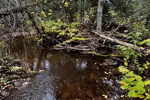 1774 Hwy 2, Two Harbors, MN 55616 - Photo 67