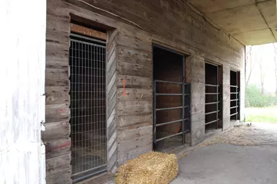 63501 300th Street, Chokio, MN 56221 - Photo 39