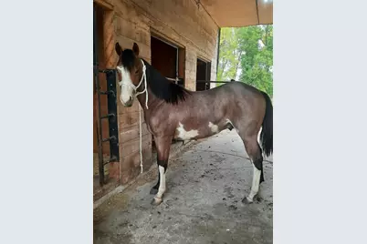63501 300th Street, Chokio, MN 56221 - Photo 41