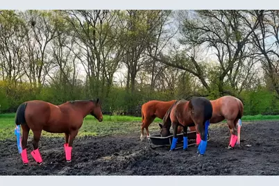 63501 300th Street, Chokio, MN 56221 - Photo 51