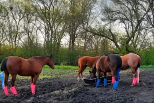 63501 300th St, Chokio, MN 56221 - Photo 51