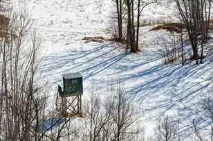 38322 141st Ave, Bagley, MN 56621 - Photo 47