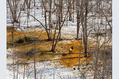 38322 141st Avenue, Bagley, MN 56621 - Photo 33