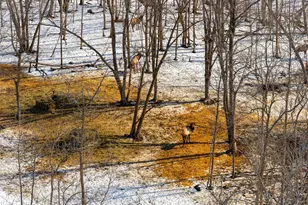 38322 141st Ave, Bagley, MN 56621 - Photo 33