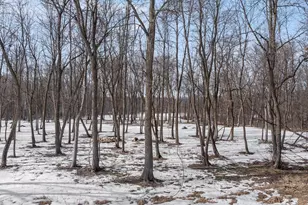 17887 Riverwood Dr, Little Falls, MN 56345 - Photo 67