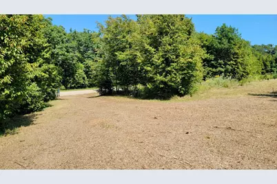 27731 400th Street, Browerville, MN 56438 - Photo 5