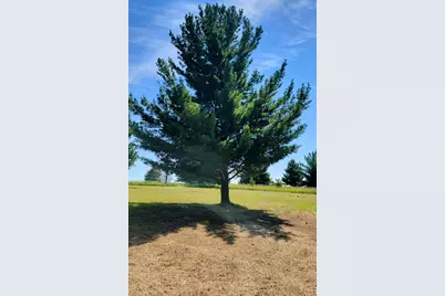 27731 400th Street, Browerville, MN 56438 - Photo 7