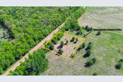 27731 400th Street, Browerville, MN 56438 - Photo 9