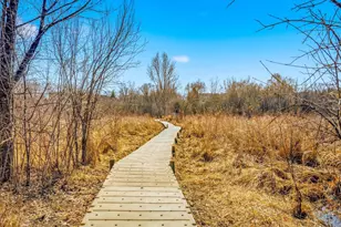 18045 39th Pl N, Plymouth, MN 55446 - Photo 53