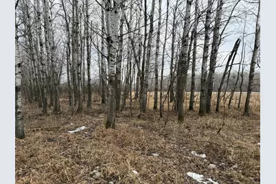 Tbd-B 180th Street, Milaca, MN 56353 - Photo 13