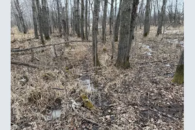 Tbd-B 180th Street, Milaca, MN 56353 - Photo 27