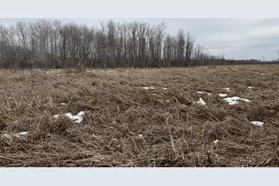 Tbd-B 180th Street, Milaca, MN 56353 - Photo 29