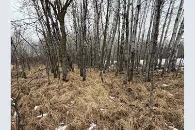 Tbd-B 180th Street, Milaca, MN 56353 - Photo 43