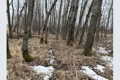 Tbd-B 180th Street, Milaca, MN 56353 - Photo 3