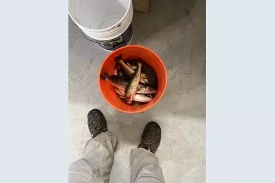 11095 Ottertail Point Drive NW, Cass Lake, MN 56633 - Photo 3