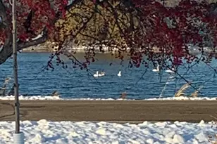 27238 Co Hwy 83, Battle Lake, MN 56515 - Photo 49