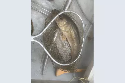 27238 County Highway 83, Battle Lake, MN 56515 - Photo 47