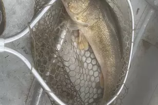 27238 Co Hwy 83, Battle Lake, MN 56515 - Photo 47