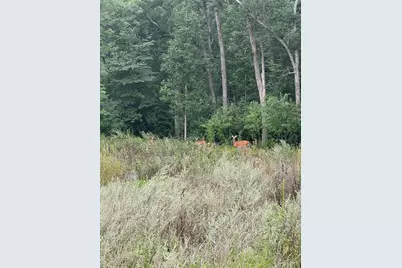 Tbd N Fox Lake Lane, Detroit Lakes, MN 56501 - Photo 3